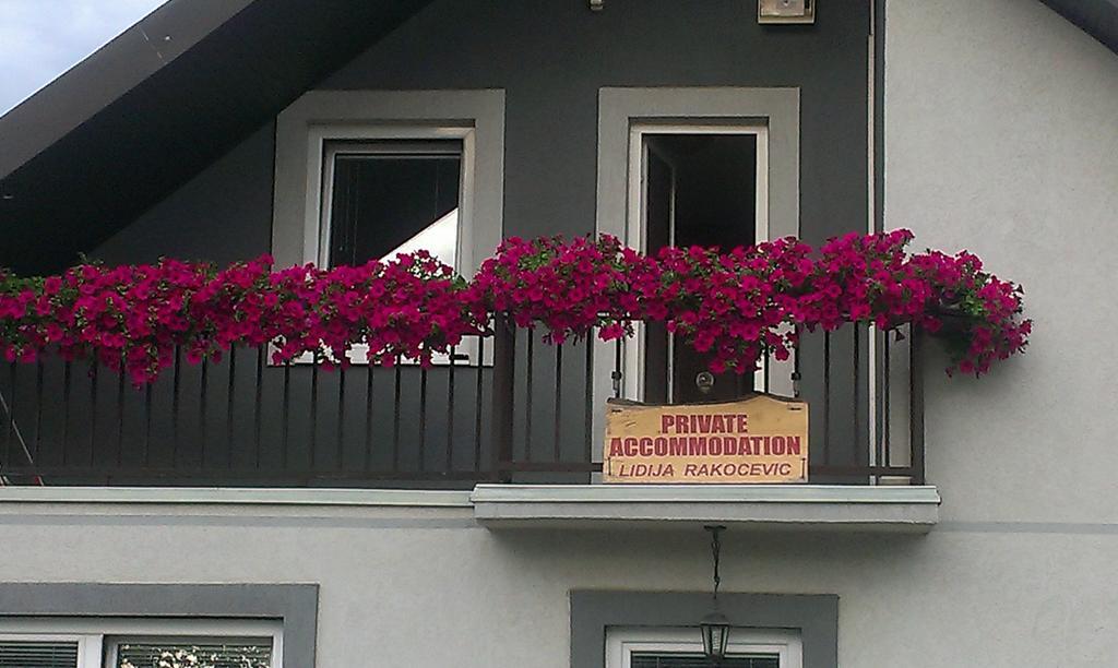 Private Accommodation Lidija Rakocevic Kolašin Exteriör bild